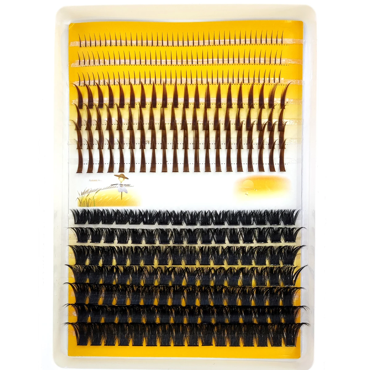 AMSDCN 60D-120D eyelash cluste - Eyelash Extension Doll Eye 评论和价格